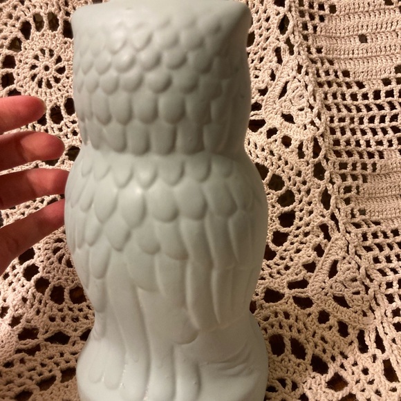 “Be Wise” Owl Bank - Pastel Chalk Paint Eggshell Blue - Picture 7 of 11